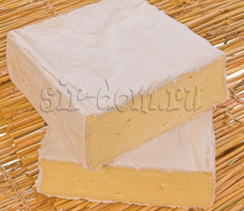 сыр камамбер квадратный в форме для сыра "куб"